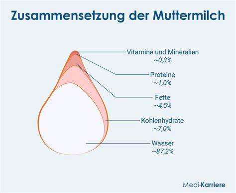 Muttermilch Zusammensetzung: Zuckeranteile und Einfluss der Ernährung