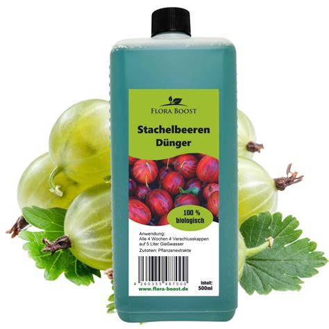 Nährstoffgehalt von Stachelbeeren