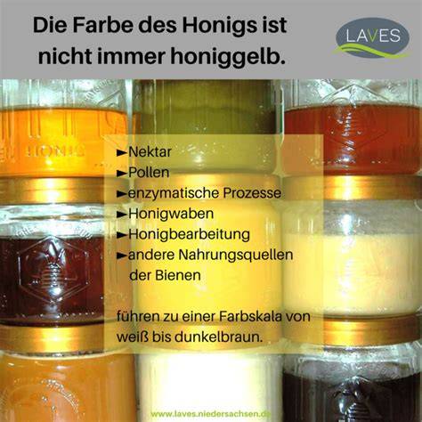 Nährstoffprofil: Heller vs. dunkler Honig