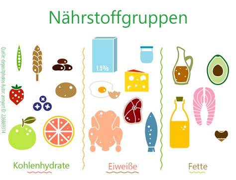 Nährwert-Schätzung pro Portion: Kalorien, Protein, Fett, Kohlenhydrate (symbolisch)