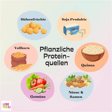 Nährwertvergleich und Proteinquellen