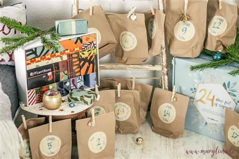 Nachhaltige Adventskalender aus Myzelien und Graspapier