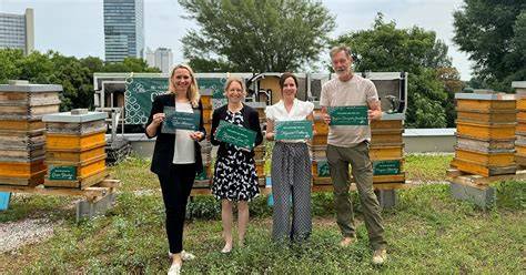 Nachhaltige Bio-Imkerei und Bienenschutz auf Yucatán