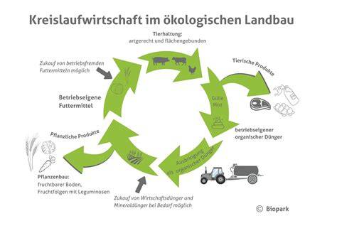 Nachhaltiger Bio-Rübenanbau und Kreislaufwirtschaft