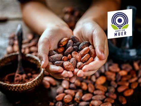 Nachhaltiger Kakaoanbau und Fairtrade