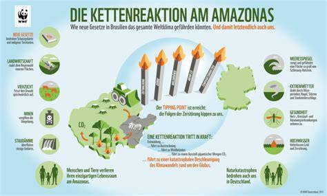 Nachhaltigkeit: Palmöl und Regenwaldzerstörung (Karte, Infografik)
