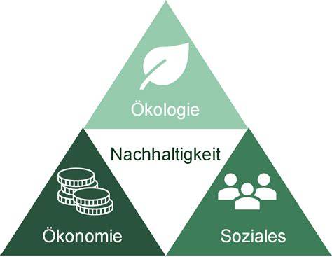 Nachhaltigkeit und Innovation in der Schweizer Bio Schokolade