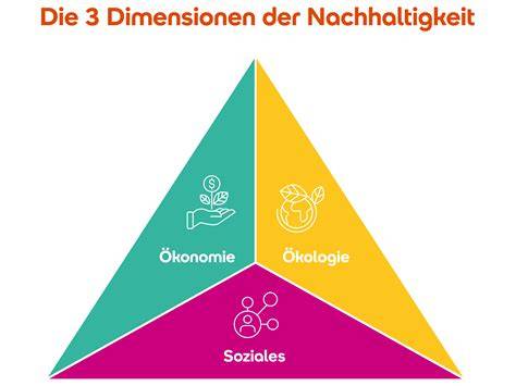 Nachhaltigkeit und Palmölproduktion (Grafik)