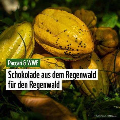 Nachhaltigkeitskette: Kakao- und Palmöl-Lieferketten, Zertifizierungen, WWF-Score