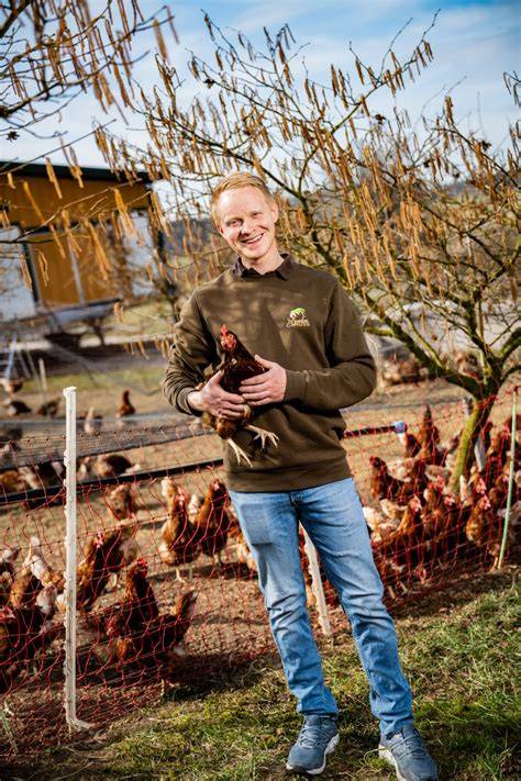 Nachhaltigkeitskreislauf: Hühner, Haselnüsse, Hofprodukte
