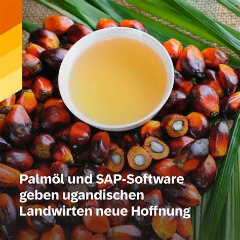 Nachhaltigkeitszertifikate und Palmöl