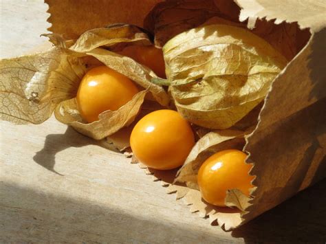 Nahaufnahme von Physalis (Andenbeeren) mit geöffneter Lampionhülle auf Holzbrett