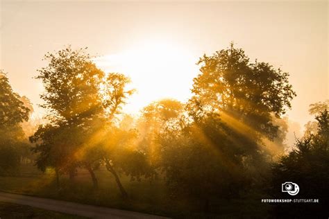 Natürliches Licht in der Tortenfotografie