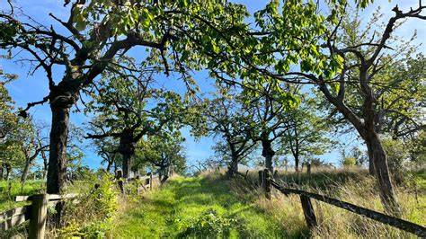 Naturlandschaft und Streuobstwiesen im Geo-Naturpark Frau-Holle-Land