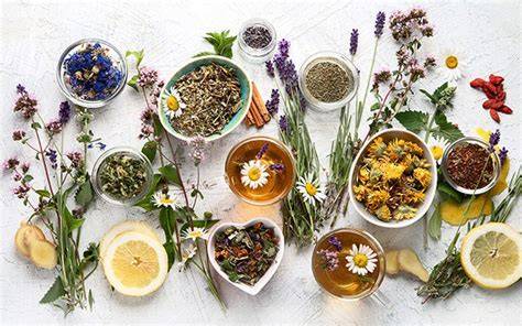 Naturmedizin: Honig und Heilpflanzen