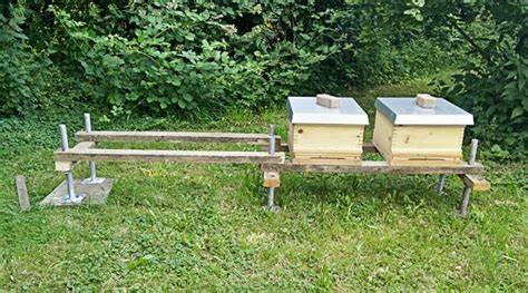 Naturnaher Bienenstand mit ökologischer Bienenbeute