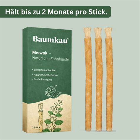 Neem-Zweig als Zahnbürste (Miswak-ähnlich)