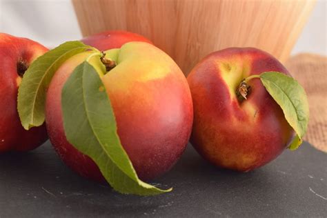 Nektarinen als gesunder Sommersnack