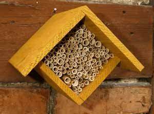 Nisthilfen und Bienenhotel - Bau und Besiedlung durch Osmia cornuta