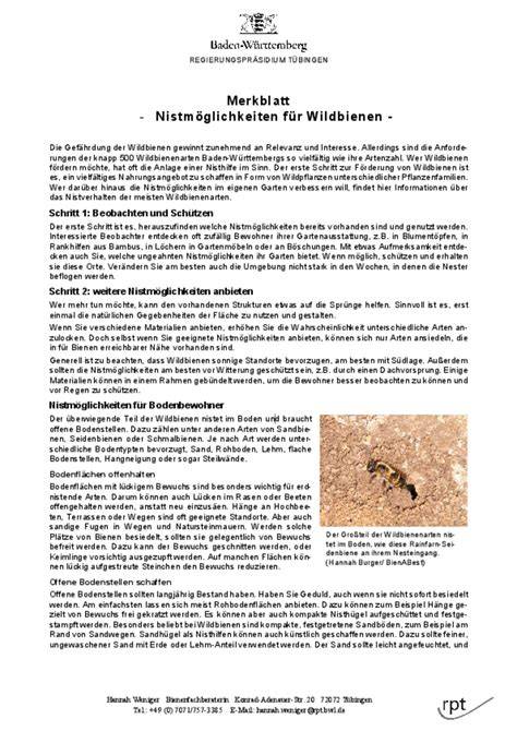 Nistverhalten von Wildbienen & Hummeln