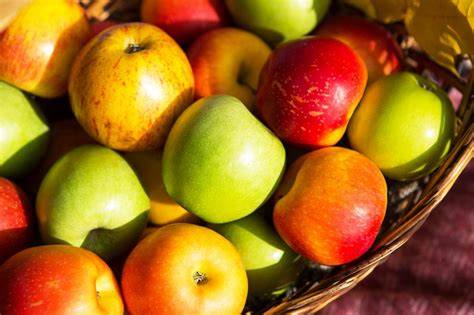 Obstkorb mit verschiedenen Apfelsorten