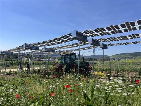 Obstplantagen und traditionelle Produkte Baden-Württembergs