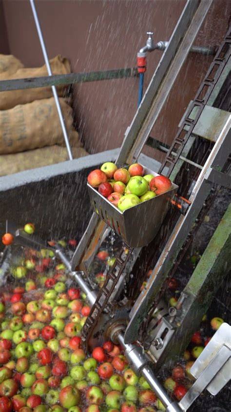 Obstpresse mit frisch gepresstem Apfelsaft