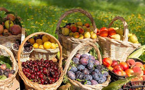Obstsorten für Marmelade: Erdbeeren, Beeren, Äpfel, Steinobst, Feigen