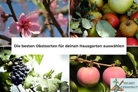 Obstsorten für Quark-Kühltorten