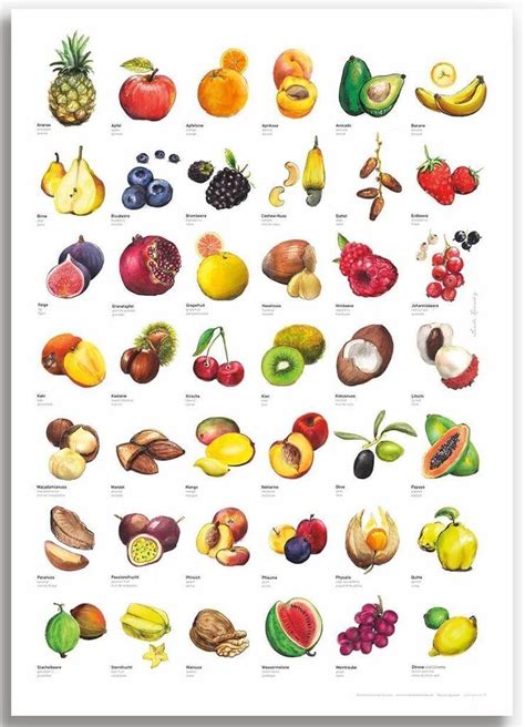 Obstsorten und Kombinationsmöglichkeiten für Marmelade