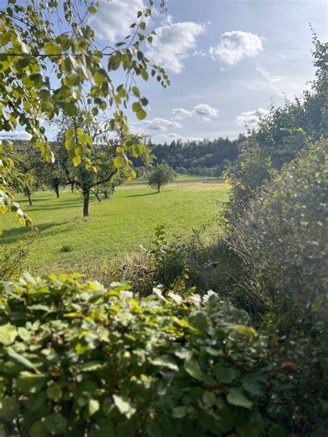 Odenwald-Naturpark und Streuobstwiesen