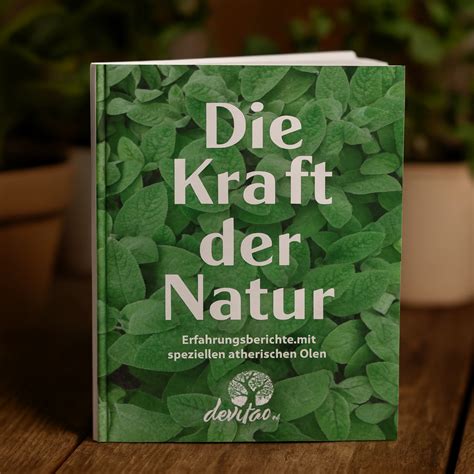 Olivenöl, Ei und Honig - die Kraft der Natur für schönes Haar (Schaubild Inhaltsstoffe)