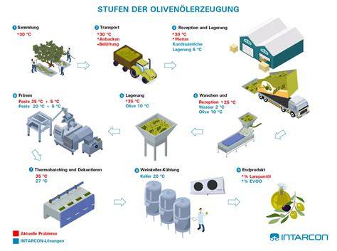 Olivenölproduktion: Schaubild zur Herkunft und Qualität