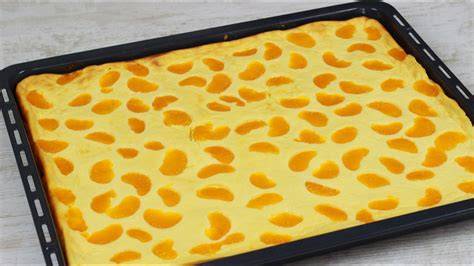 Omas Käsekuchen mit Mandarinen auf dem Blech - angerichtet und angeschnitten