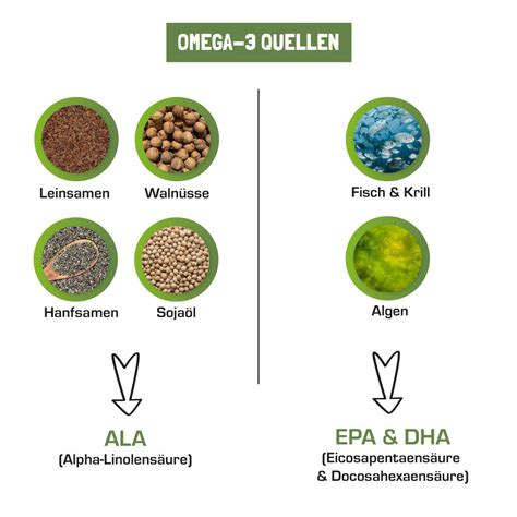 Omega-3 Quellen: Algenöl, Nüsse, Samen