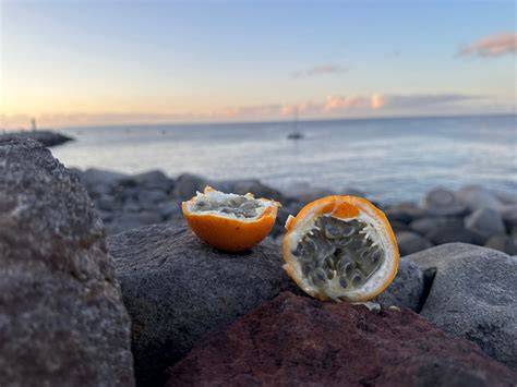Orangen, Maracuja und Zesten: Zutatenstillleben