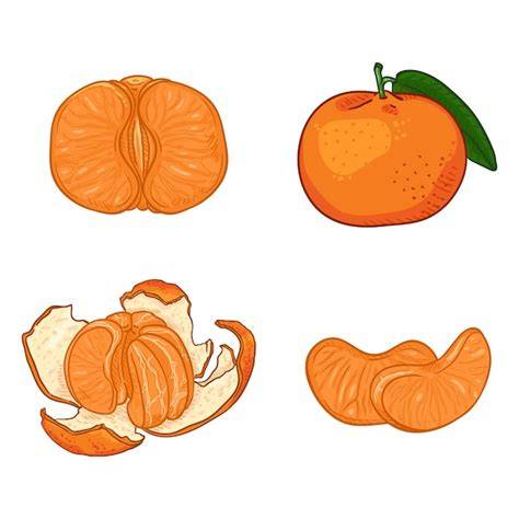 Orangen geschnitten und ganz, Nährwert-Zusammensetzung grafisch dargestellt