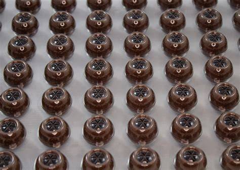 Orangenzesten, Kakao, Goldperlen: Dekoideen für Pralinen