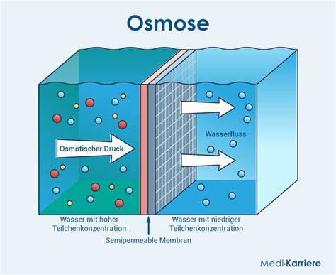 Osmose und Wasserbindung bei Zucker - Infografik