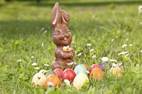 Osterbrauch: Osternest und Osterhase aus Schokolade