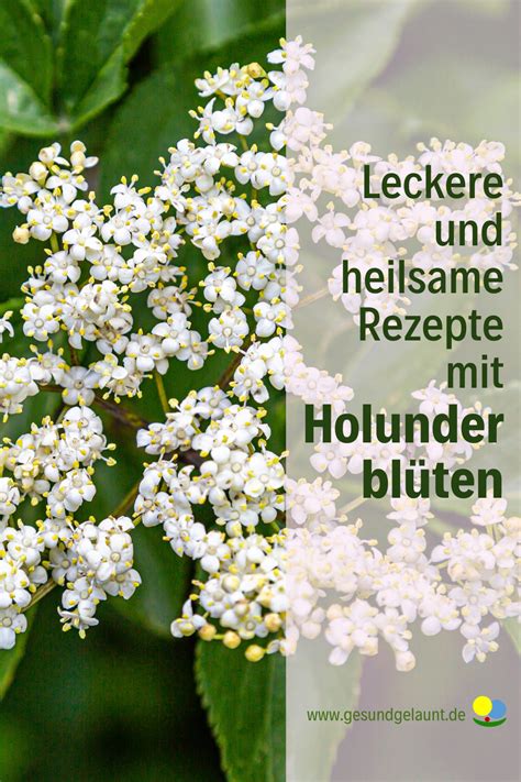Ostereier-Kamutkekse mit Holunderblüten-Guss