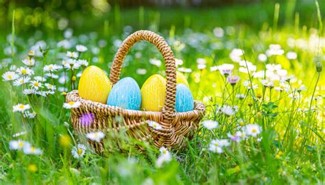 Ostereiersuche im Garten