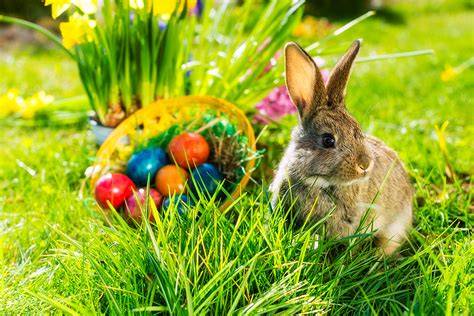 Osterkorb mit Schoko-Osterhase und Schokoeiern
