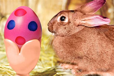 Ostertraditionen: bemalte Eier, Osterhase, Frühlingsschokolade