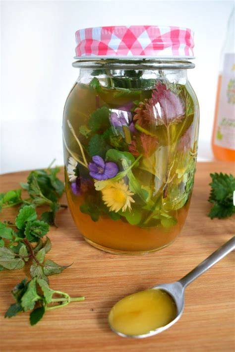 Oxymel: Honig und Essig, Kräuter und Blüten im Glas