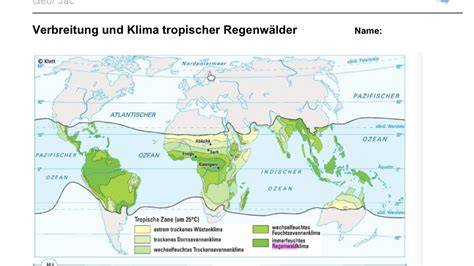 Palmölplantage vs. Regenwald - Karte der Problematik