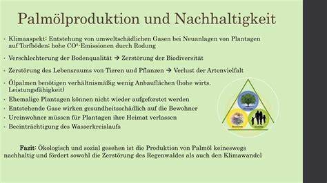 Palmölproduktion und Regenwaldverlust (Karte/Infografik)