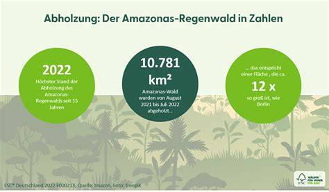 Palmölproduktion vs. Regenwald - Infografik Abholzung