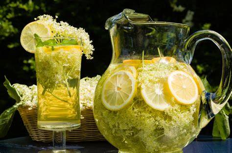 Passiergerät und frisch ausgepresster Holundersaft