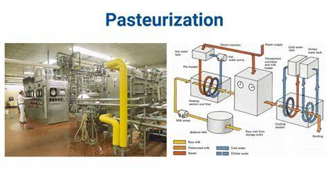 Pasteurisierung von Wein